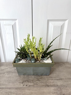 Succulent Planter from Aladdin's Floral in Idaho Falls